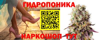 спиды Кандалакша