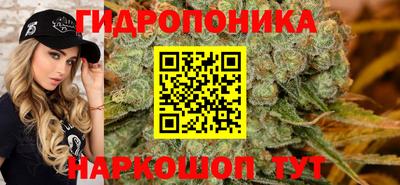 скорость Канаш