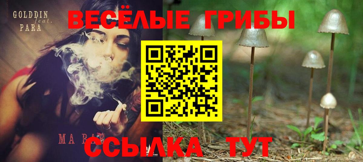 Ипатово  Галлюциногенные грибы мухоморы  Вход с VPN 