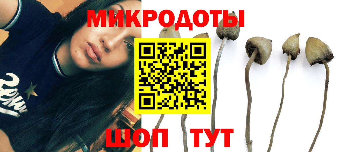 Галлюциногенные грибы мицелий Ипатово