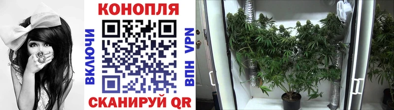 Шишки марихуана OG Kush  наркошоп  Ипатово 